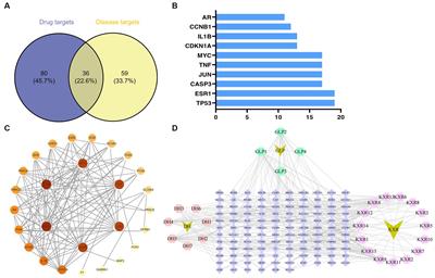 The use of Xuanbai Chengqi decoction on monkeypox disease through the estrone-target AR interaction